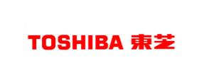 東芝信息機(jī)器(杭州)有限公司成功案例分析